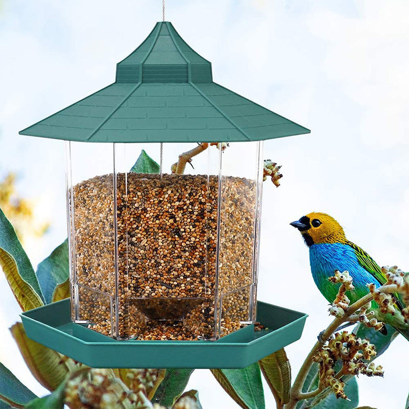 Attract Nature: The Ultimate Bird Feeder Experience